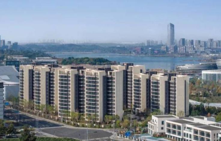 天投滨湖璟园