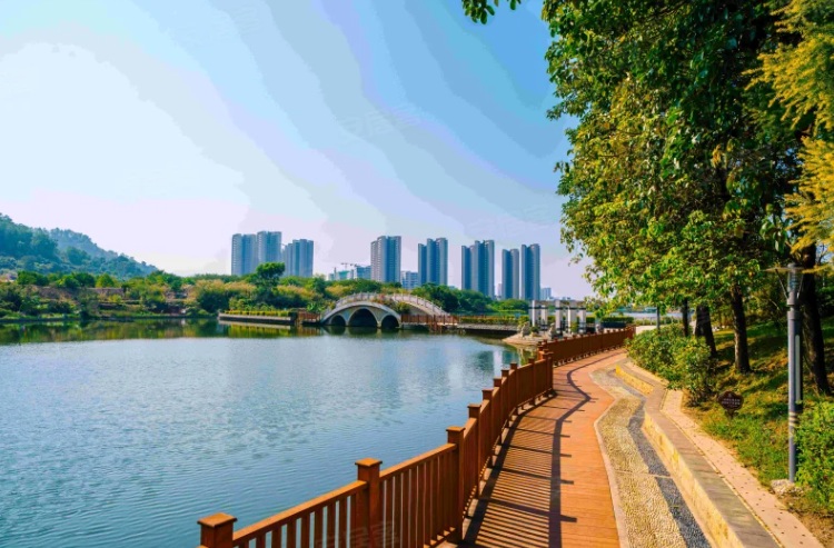 金裕星河梧桐湾